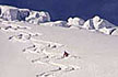 vallee blanche et alpinisme avec un guide de chamonix